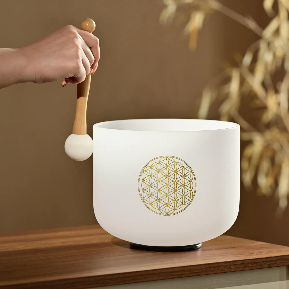 Fréquences - Maxiburner