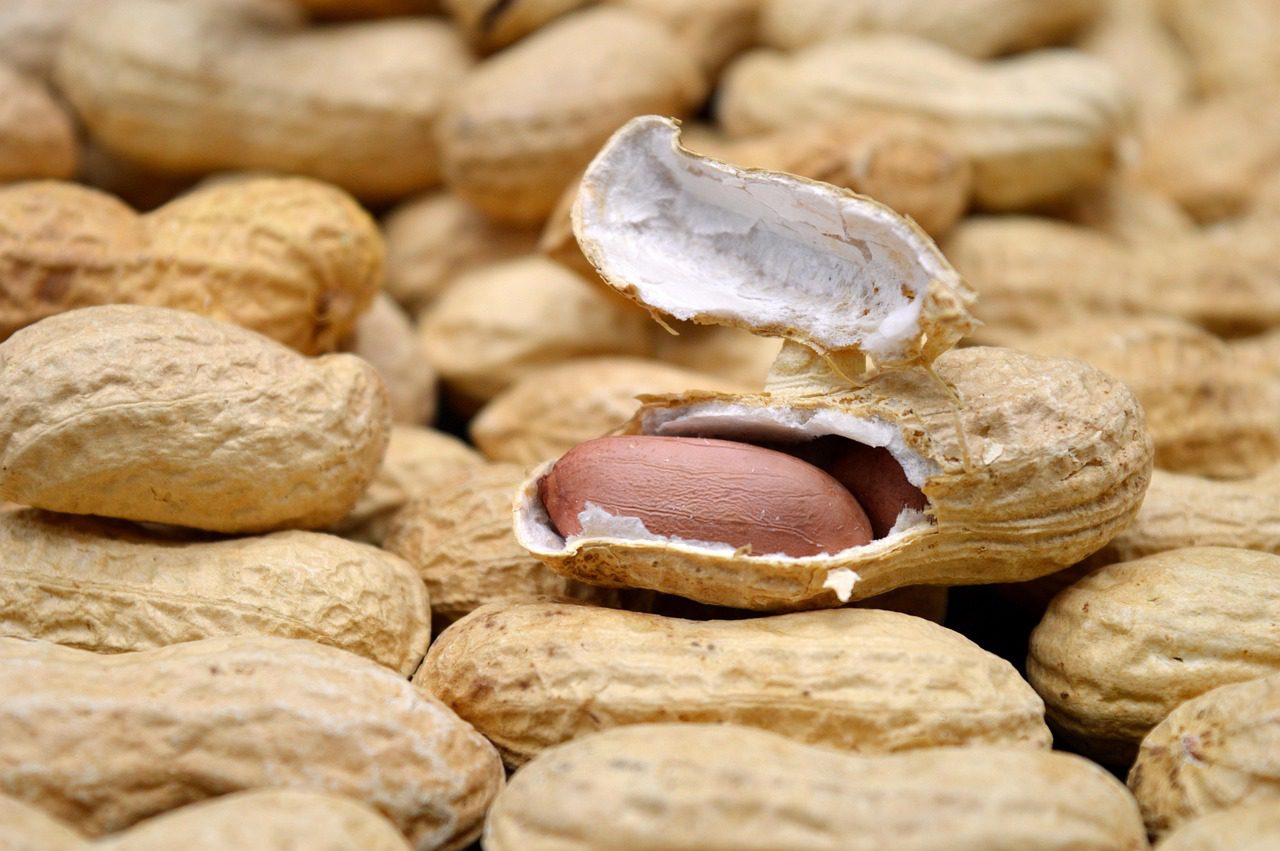 Cacahuètes et perte de poids