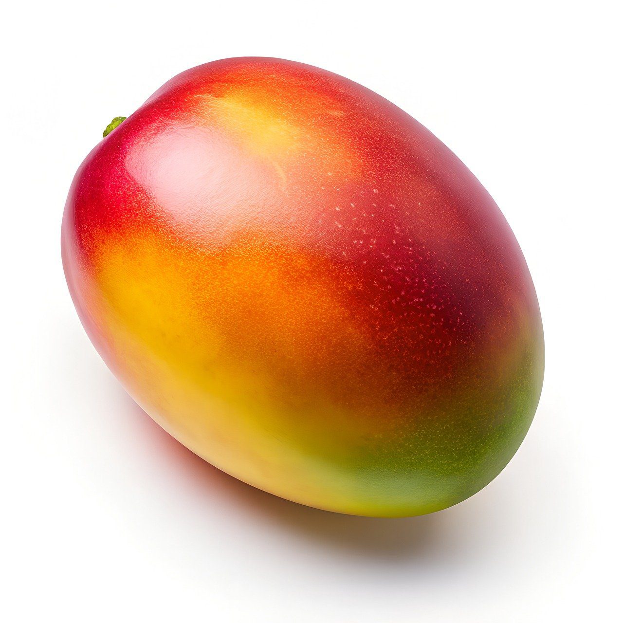 Mangue Africaine Maxiburner