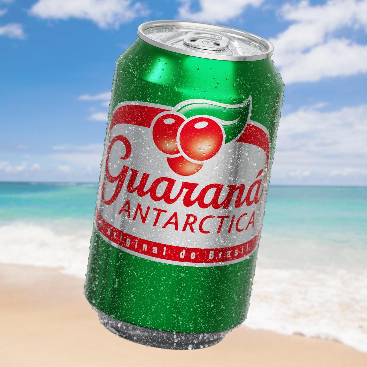 Guarana - Maxiburner