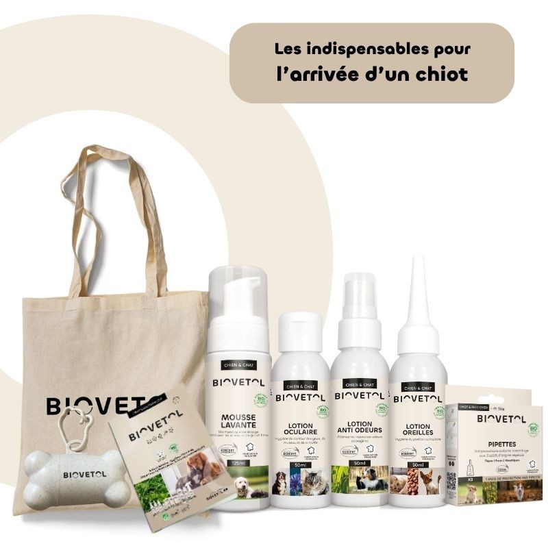 Prendre soin d'un chiot