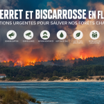 Cap Ferret et Biscarosse en flammes